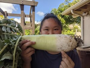 I've discovered that daikon (Japanese radish) grow really well in aquaponics!