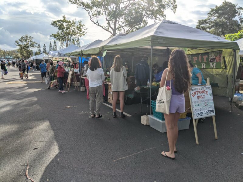 People standing in line for one of the fresh vegetable booths at the farmers' market at Mililani High School.