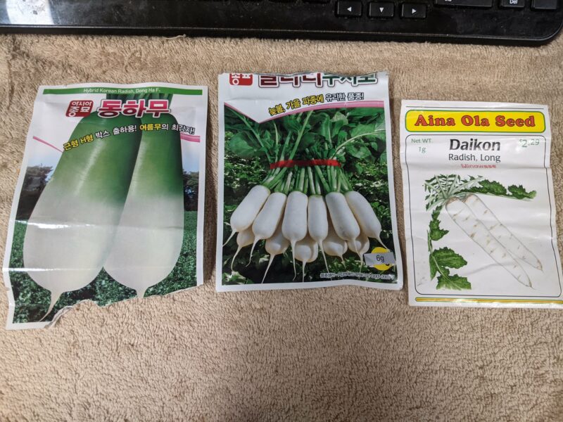 The three daikon seeds we use.