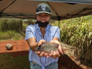 Fishing at Alii Agriculture Farms in Wahiawa