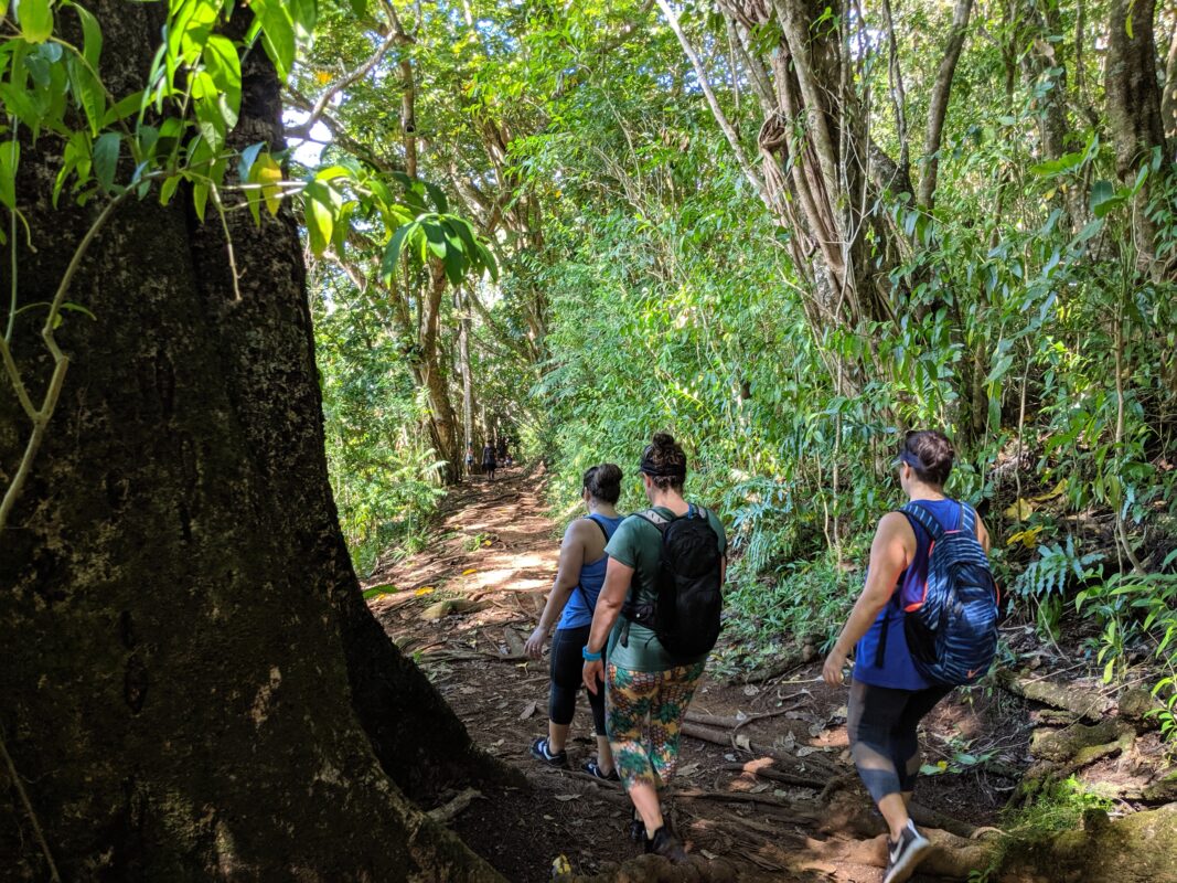 My friends and I hiking the Makiki Valley Loop Trail.