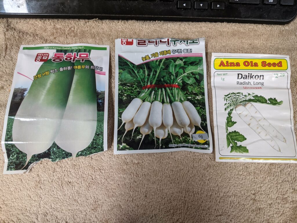 Daikon seeds from Palama Market.