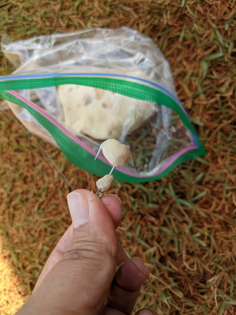 Putting on some dough bait on my hook at Alii Agriculture Farms.