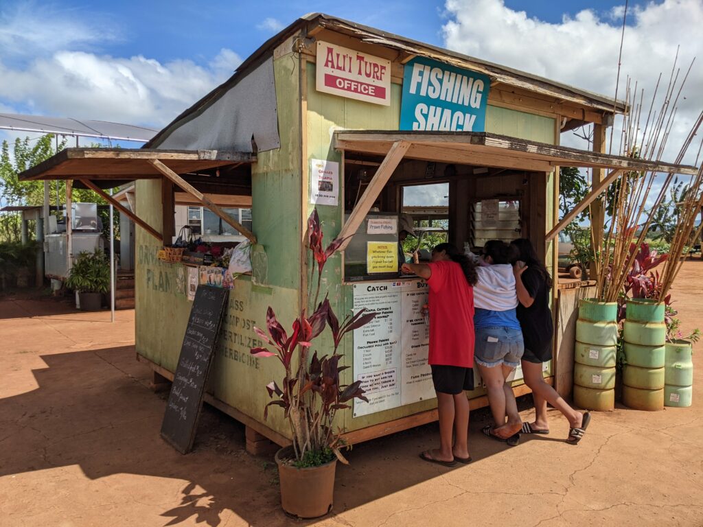 Alii Agriculture Farms' office shack.