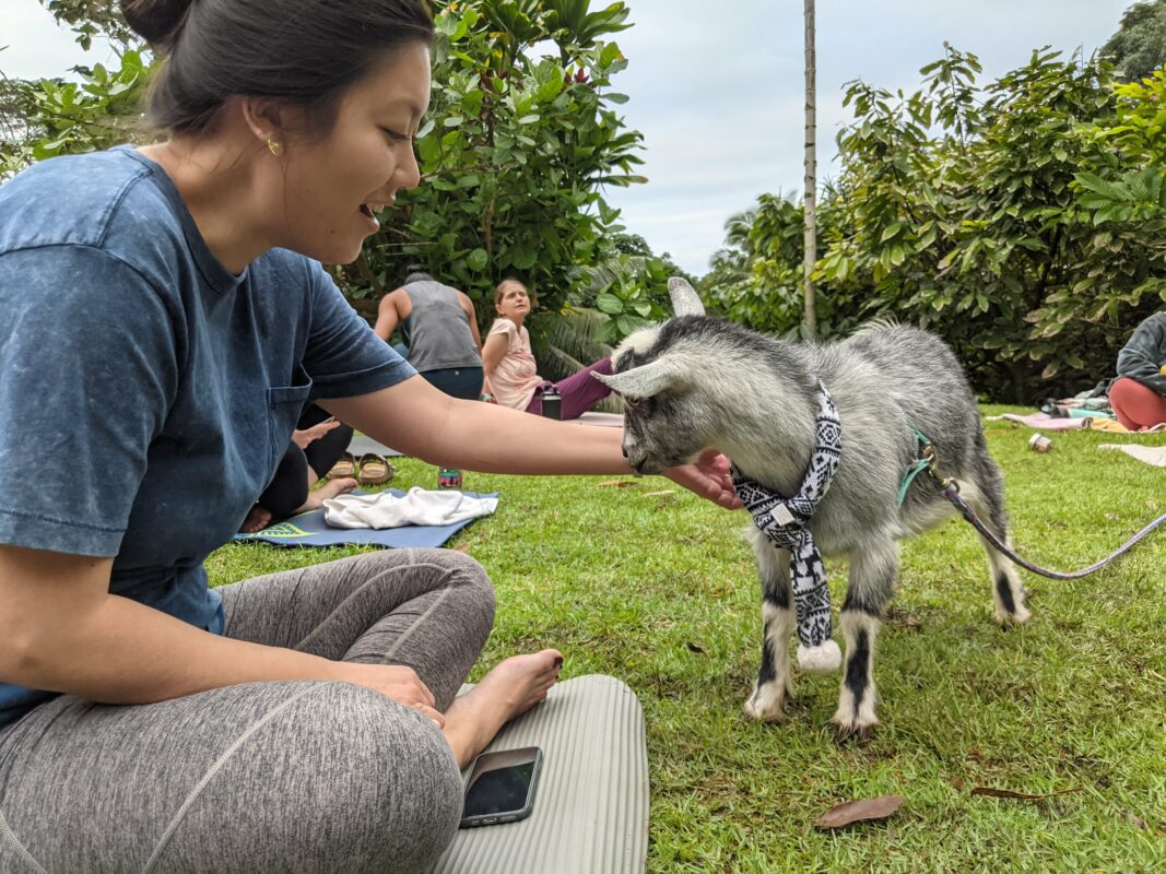 Allegra and a goat.