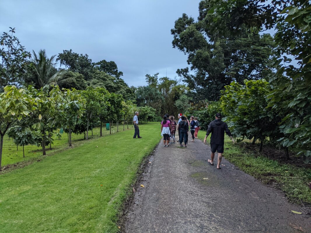 Cacao farm tour