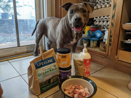 A dog standing behind a bowl of raw chicken and food supplements.