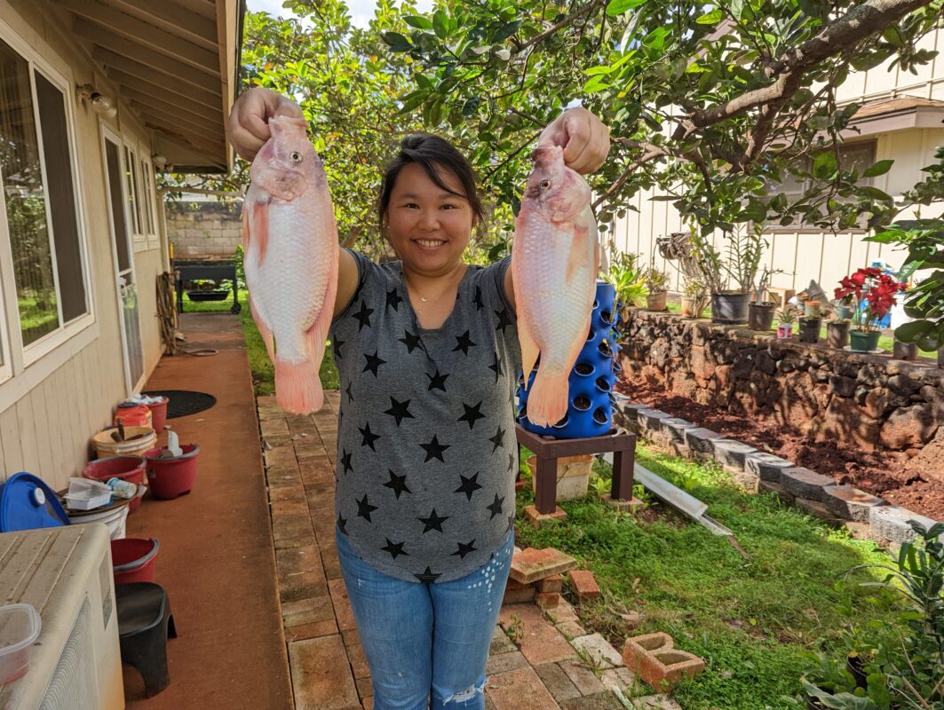 Amy holding up two Hawaiian Gold tilapia.