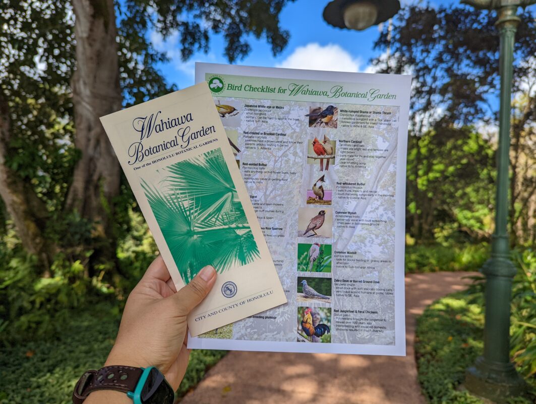 Hand holding a pamphlet and bird guide.