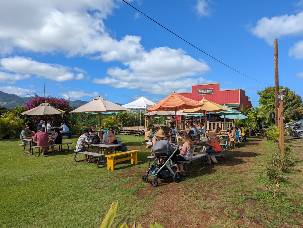 Picnic tables and umbrellas on a grassy lawn.