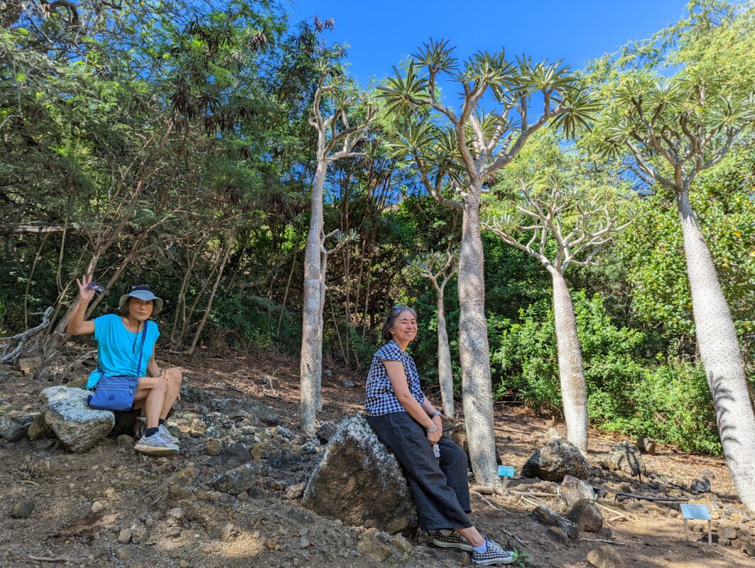 Two women sitting under some trees.