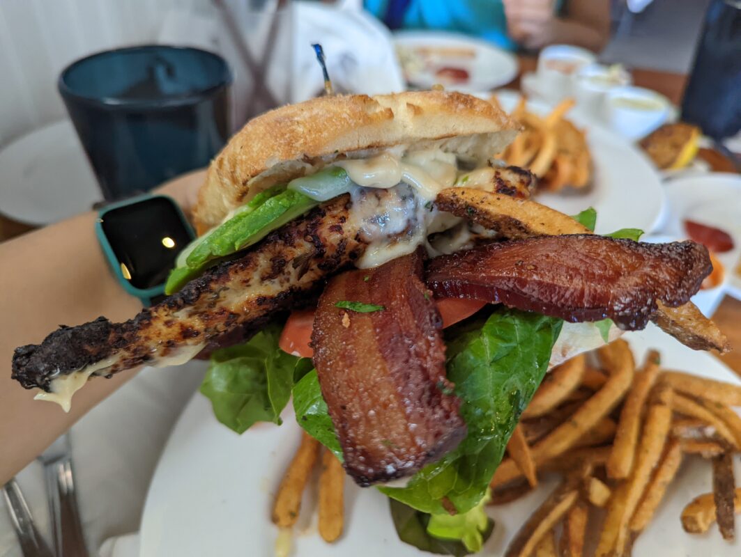 Close up of a grilled chicken club sandwich on ciabatta bread.