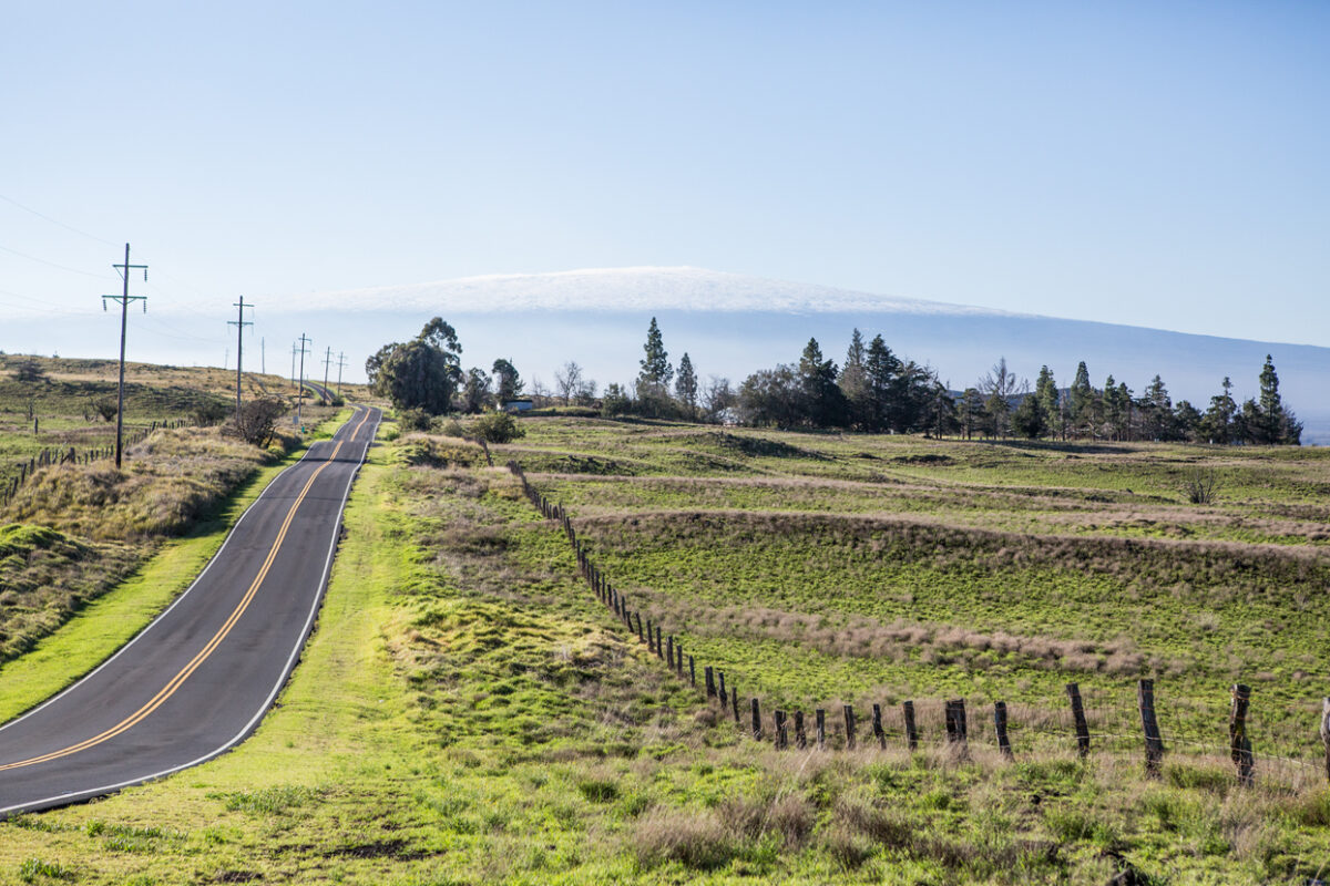 Long empty road.