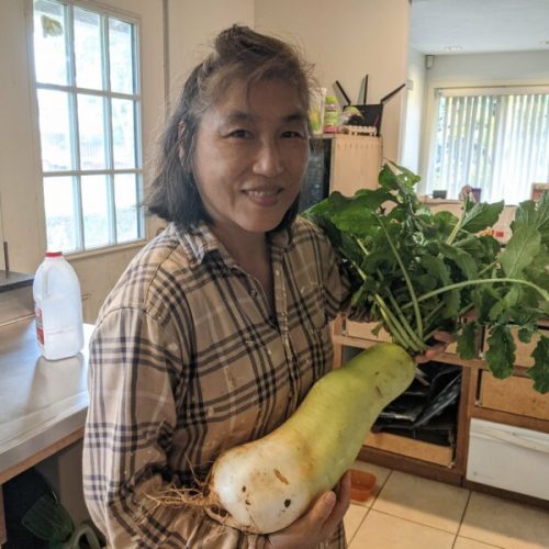 Mom's largest daikon grown from soil measured two feet.